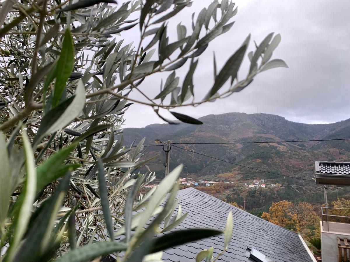 Casa Do Julien Mountain Experience Villa Vila Real Eksteriør bilde